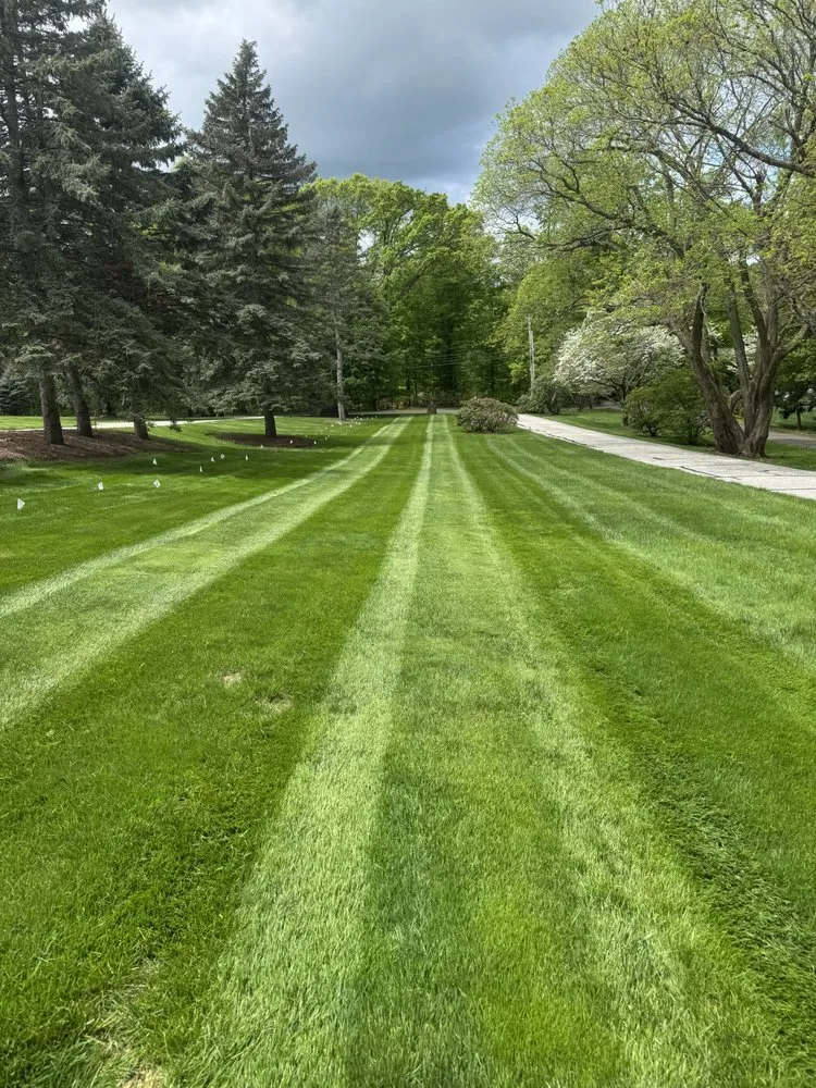 Reliable landscaping services in Hartford, CT - Red Bison General Contractor