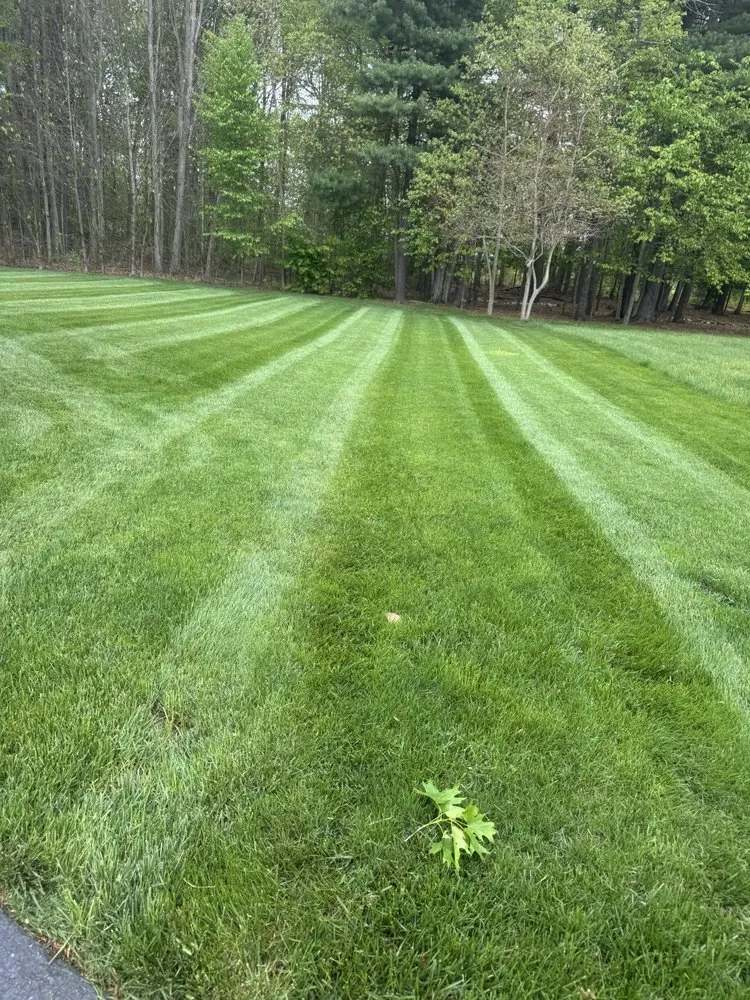 Trusted landscaping services for beautiful yards in Hartford, CT by Red Bison General Contractor