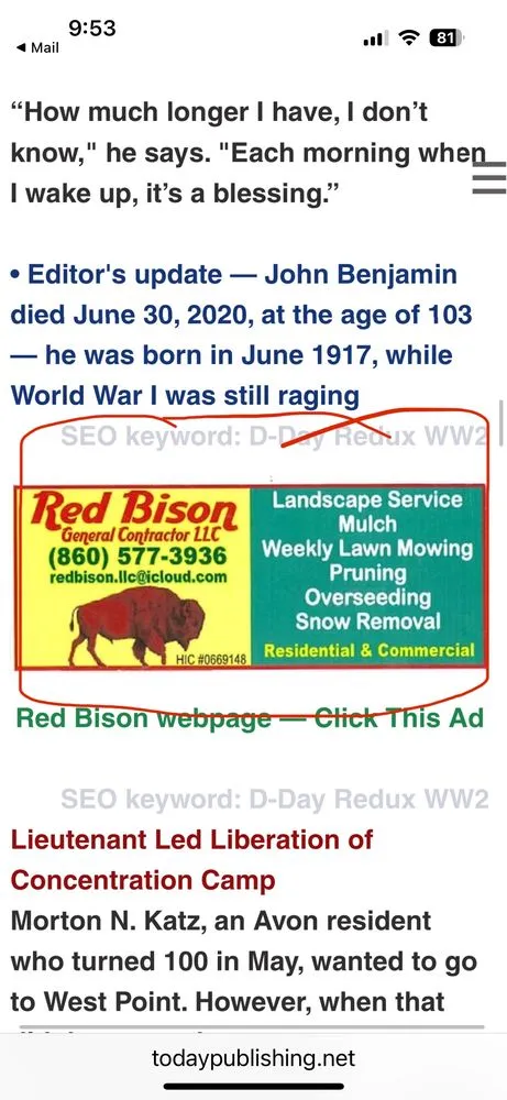Local yard cleanup service for homes in Hartford, CT by Red Bison General Contractor