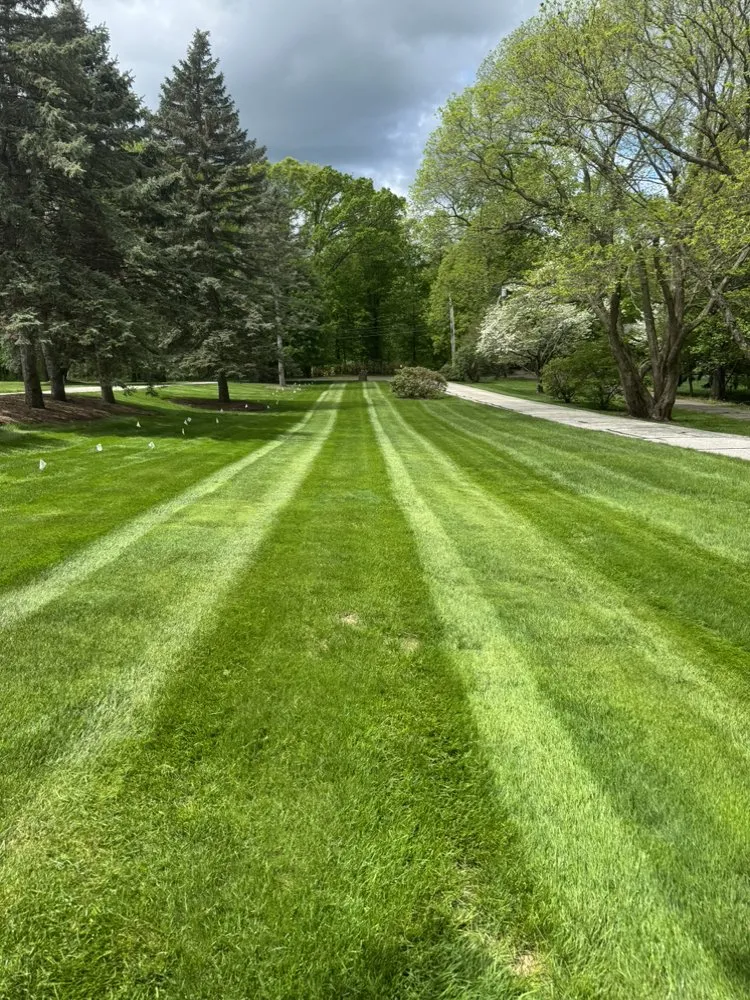 Custom landscape installation in Hartford, CT - Red Bison General Contractor