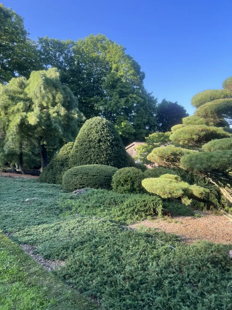 Trusted residential landscaping for homes in Hartford, CT by Red Bison General Contractor