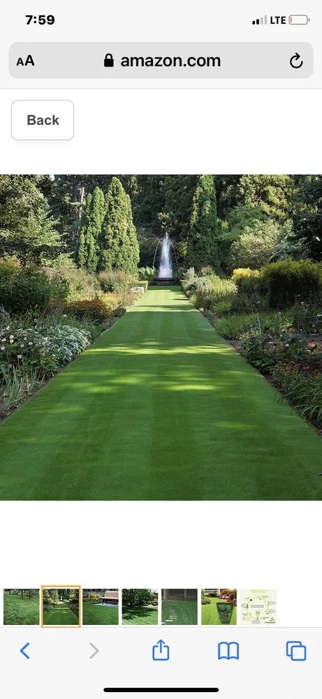 Expert garden landscaping in Winter Park, FL - Red Bud Landscaping & Irrigation