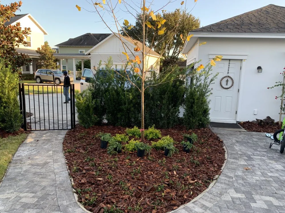 Top-rated landscaping services for beautiful yards across Winter Park, FL - Red Bud Landscaping & Irrigation