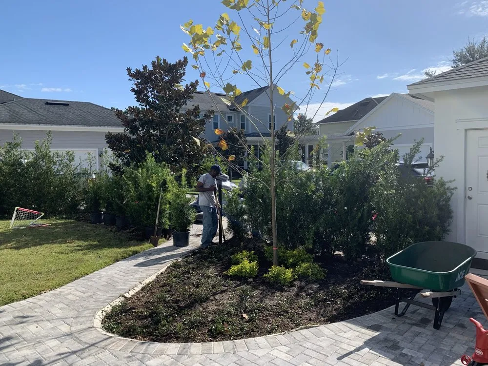 Custom lawn care service experts serving Winter Park, FL - Red Bud Landscaping & Irrigation