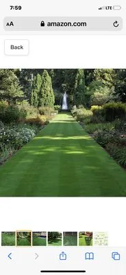 Red Bud Landscaping & Irrigation Logo