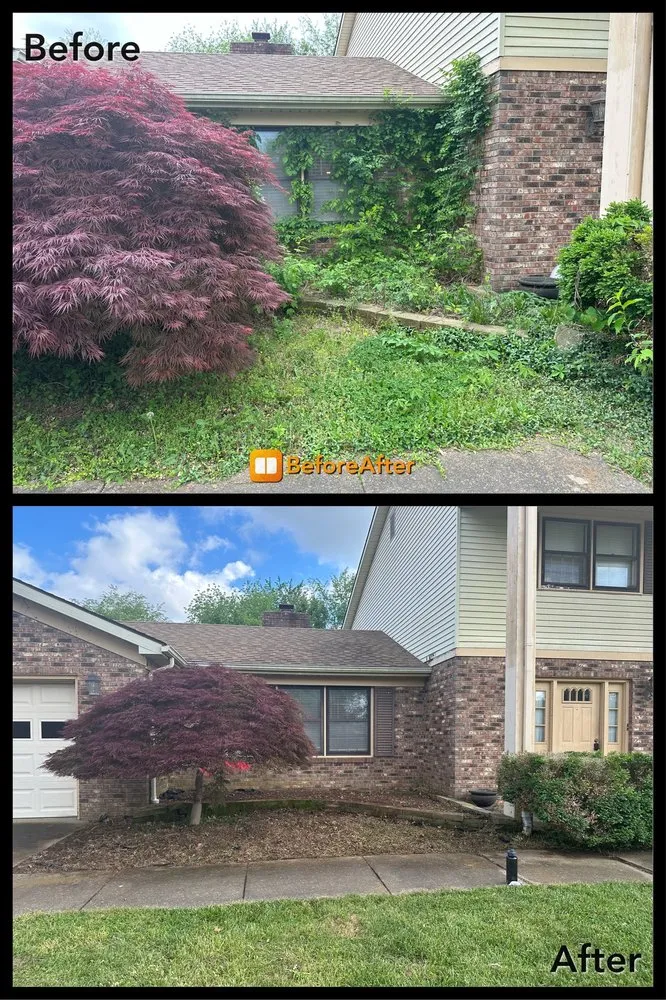 Professional residential landscaping for outdoor upgrades in Newburgh, IN by Red Bull Lawn Care & Maintenance