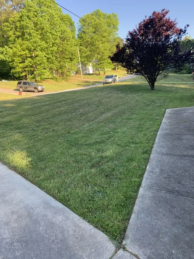 Expert landscape design in Hampton, GA - Red Byrd Junk Removal & Landscaping