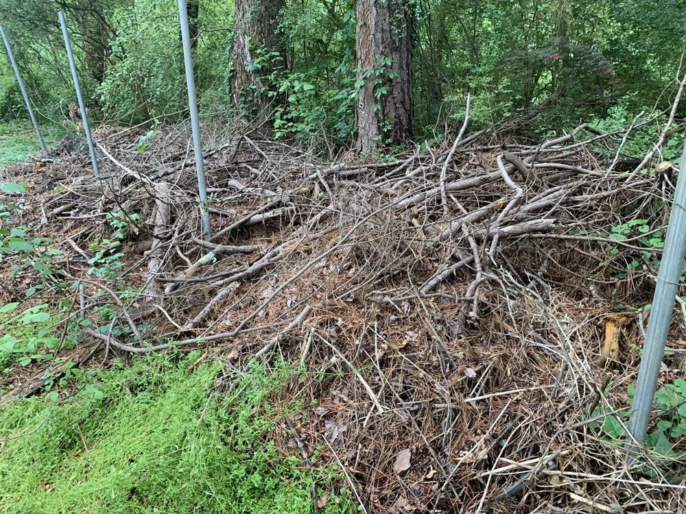 Affordable residential landscaping near you across Hampton, GA - Red Byrd Junk Removal & Landscaping