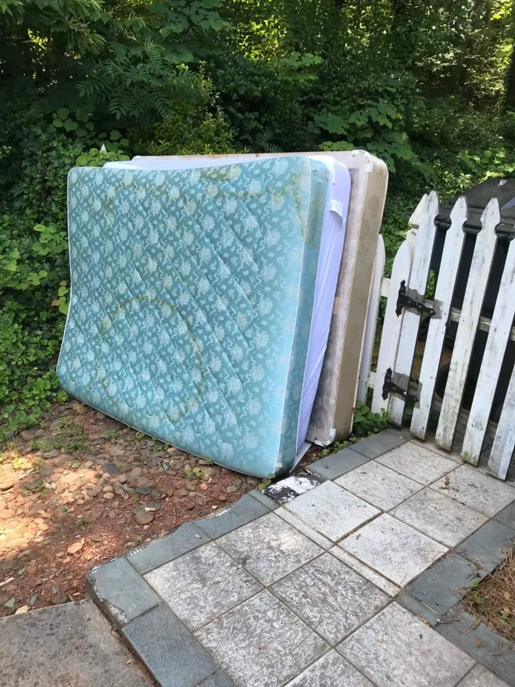 Affordable landscape installation for outdoor upgrades across Hampton, GA - Red Byrd Junk Removal & Landscaping