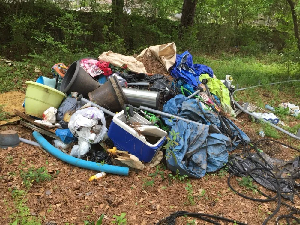 Professional garden landscaping for outdoor upgrades in Hampton, GA by Red Byrd Junk Removal & Landscaping