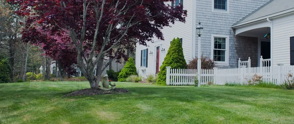 Top-rated landscape design for residential properties across Greenwich, CT - Red Carpet Turf