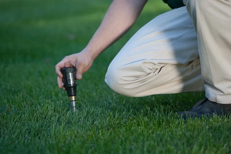 Custom outdoor landscaping for beautiful yards in Greenwich, CT by Red Carpet Turf