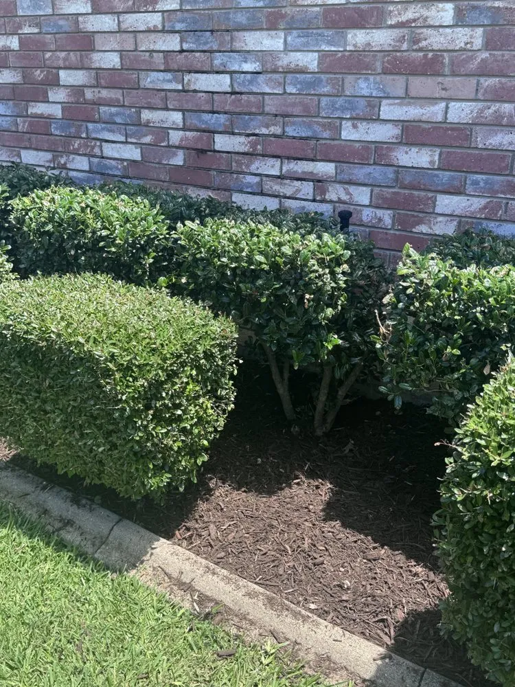 Expert yard maintenance in Weatherford, TX - Red Clay Landscapes