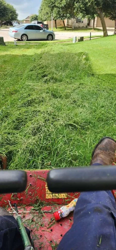 Professional yard cleanup service experts serving Dale, TX - Red Deer Landscape