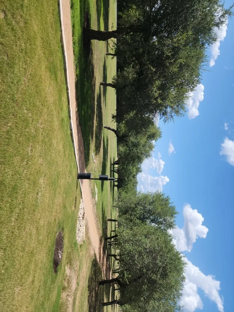 Local yard maintenance for year-round maintenance across Dale, TX - Red Deer Landscape