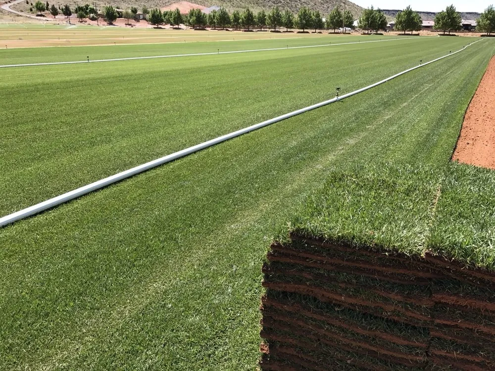 Top-rated landscaping services for year-round maintenance across Hurricane, UT - Red Desert Sod