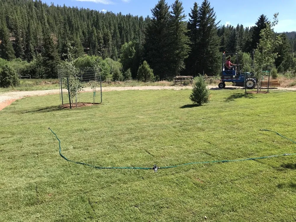 Local yard cleanup service in Hurricane, UT - Red Desert Sod