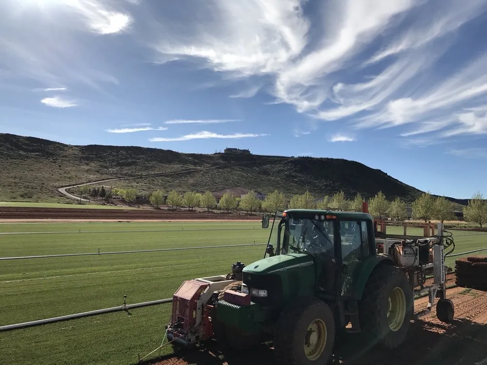 Trusted landscaping services for year-round maintenance in Hurricane, UT by Red Desert Sod