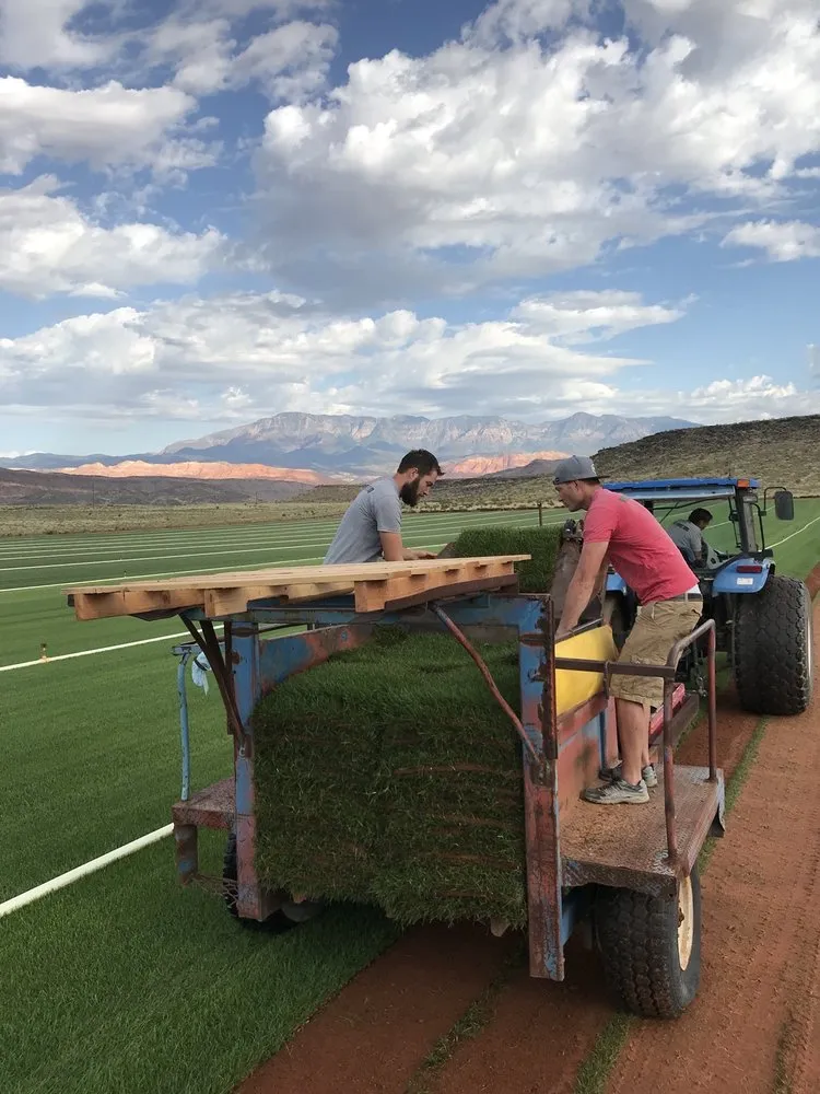Reliable yard cleanup service experts serving Hurricane, UT - Red Desert Sod