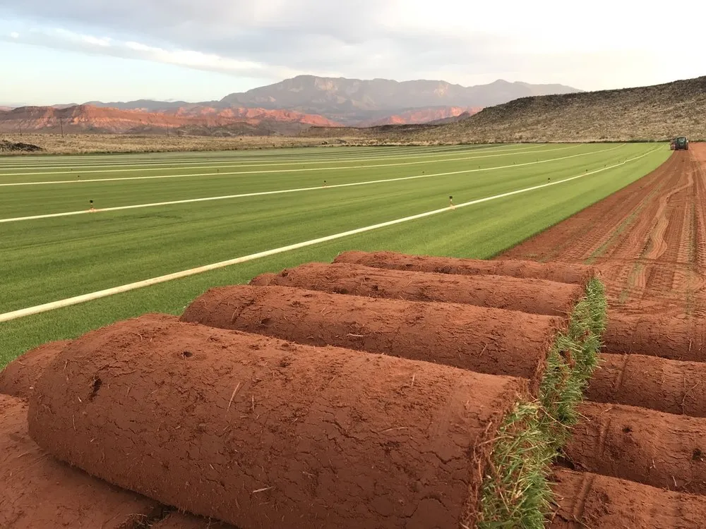 Professional outdoor landscaping experts serving Hurricane, UT - Red Desert Sod