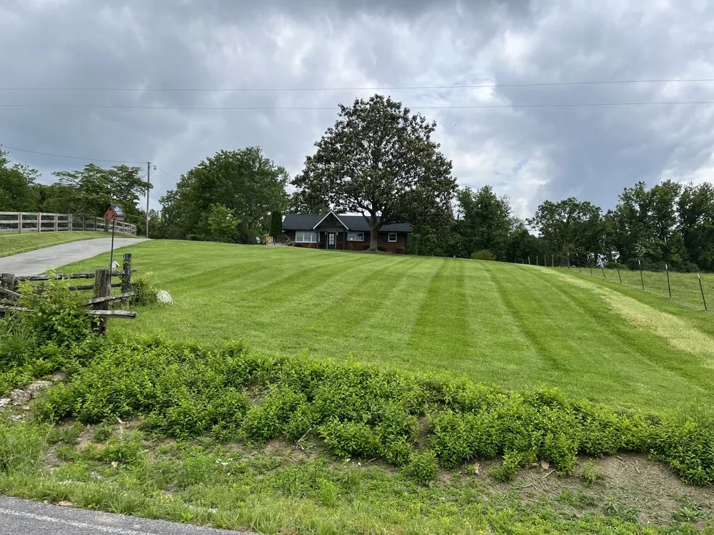 Reliable yard maintenance in Andersonville, TN - Red Diesel Lawn Care