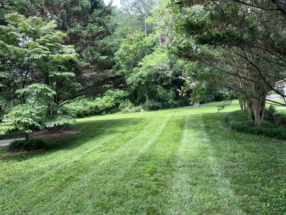 Expert landscaping services in Andersonville, TN by Red Diesel Lawn Care