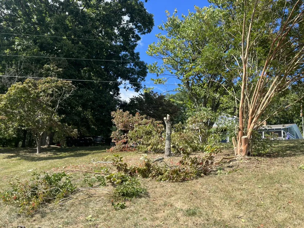 Reliable yard maintenance in Andersonville, TN by Red Diesel Lawn Care