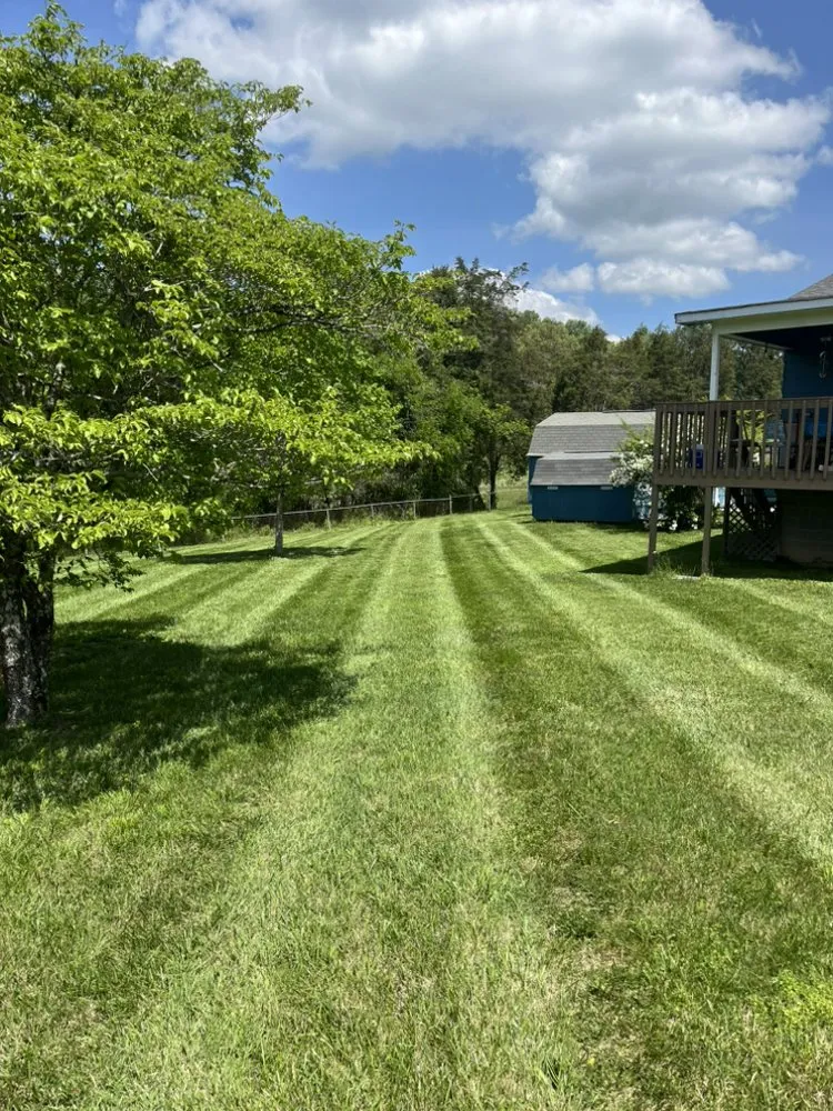 Affordable landscaping services for beautiful yards in Andersonville, TN by Red Diesel Lawn Care