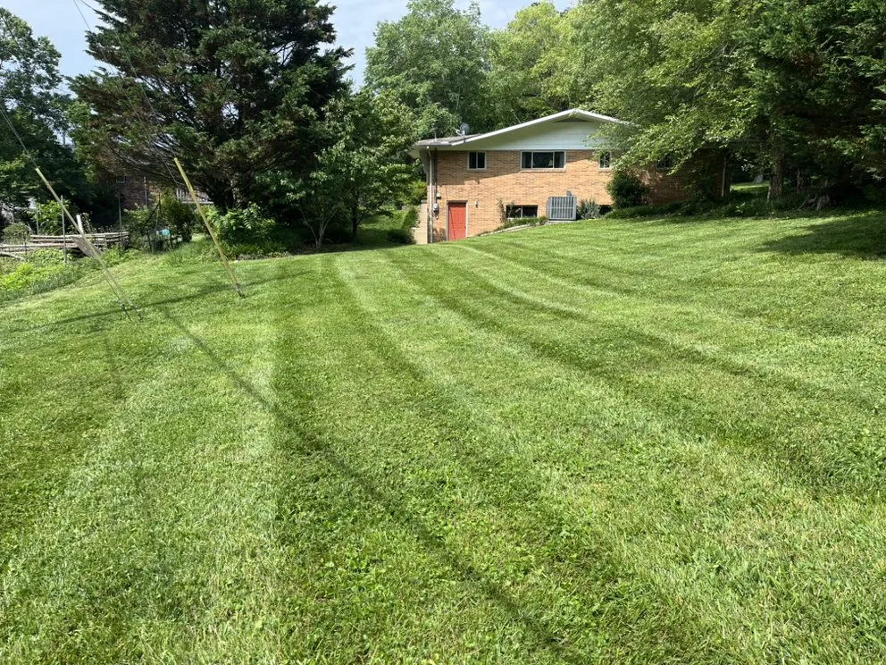 Local landscape design experts serving Andersonville, TN - Red Diesel Lawn Care