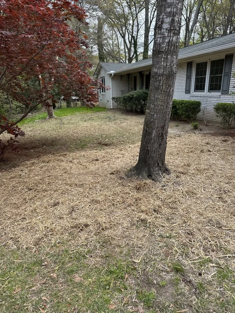 Professional landscaping services in Hartwell, GA - Red dirt land management