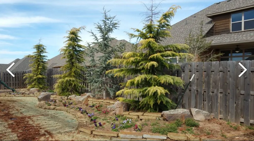 Expert landscaping services for year-round maintenance across Oklahoma City, OK - Red Dirt Landscaping