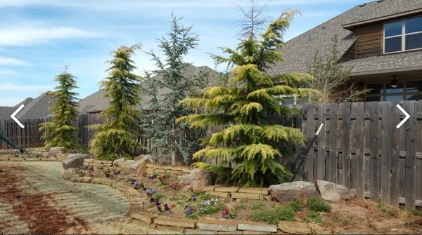 Red Dirt Landscaping Logo