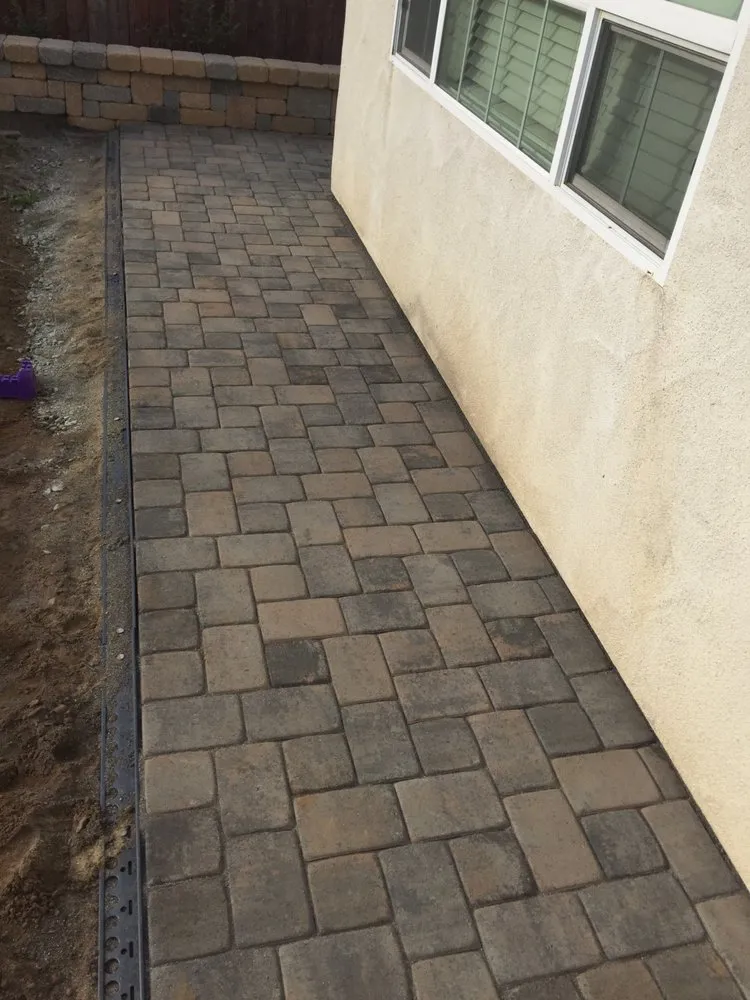 Top-rated yard cleanup service experts serving San Luis Obispo, CA - Red Dog Landscape