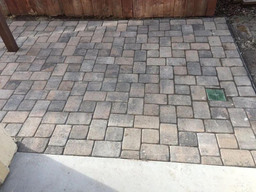 Local landscape installation in San Luis Obispo, CA by Red Dog Landscape