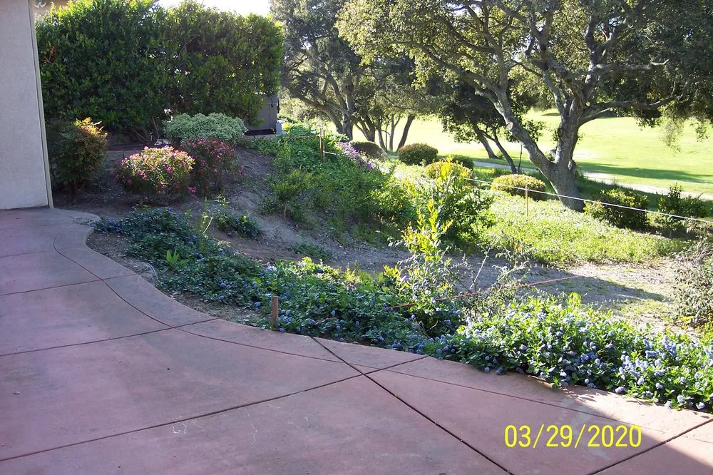 Affordable outdoor landscaping in San Luis Obispo, CA - Red Dog Landscape