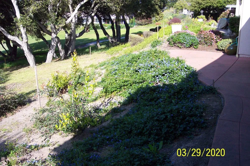 Local landscape installation experts serving San Luis Obispo, CA - Red Dog Landscape