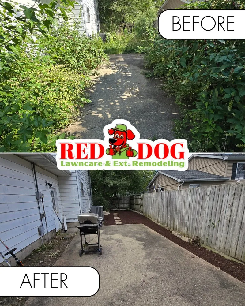 Professional landscape design in Champaign, IL - Red Dog Lawn care & Ext. Remodeling