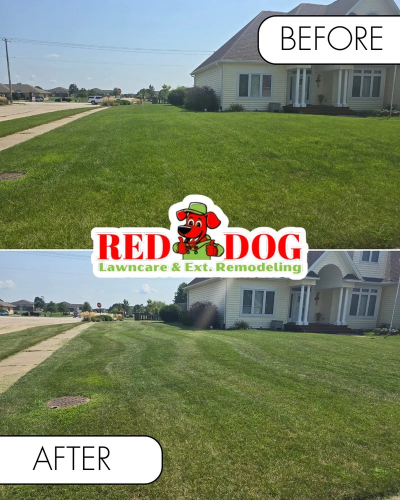 Trusted lawn care service with custom design across Champaign, IL - Red Dog Lawn care & Ext. Remodeling