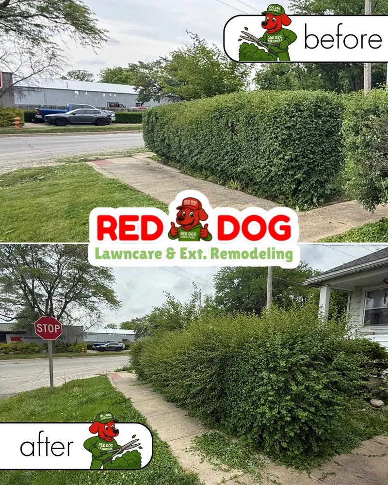 Affordable outdoor landscaping in Champaign, IL by Red Dog Lawn care & Ext. Remodeling