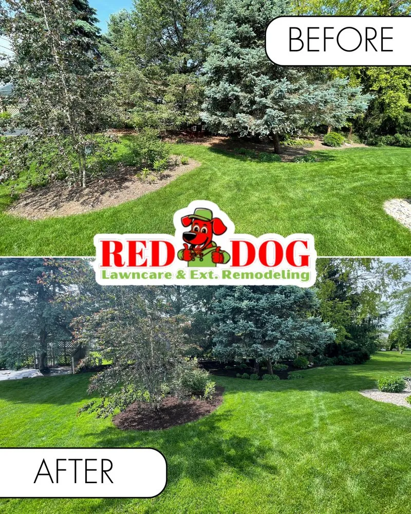 Local yard maintenance experts serving Champaign, IL - Red Dog Lawn care & Ext. Remodeling