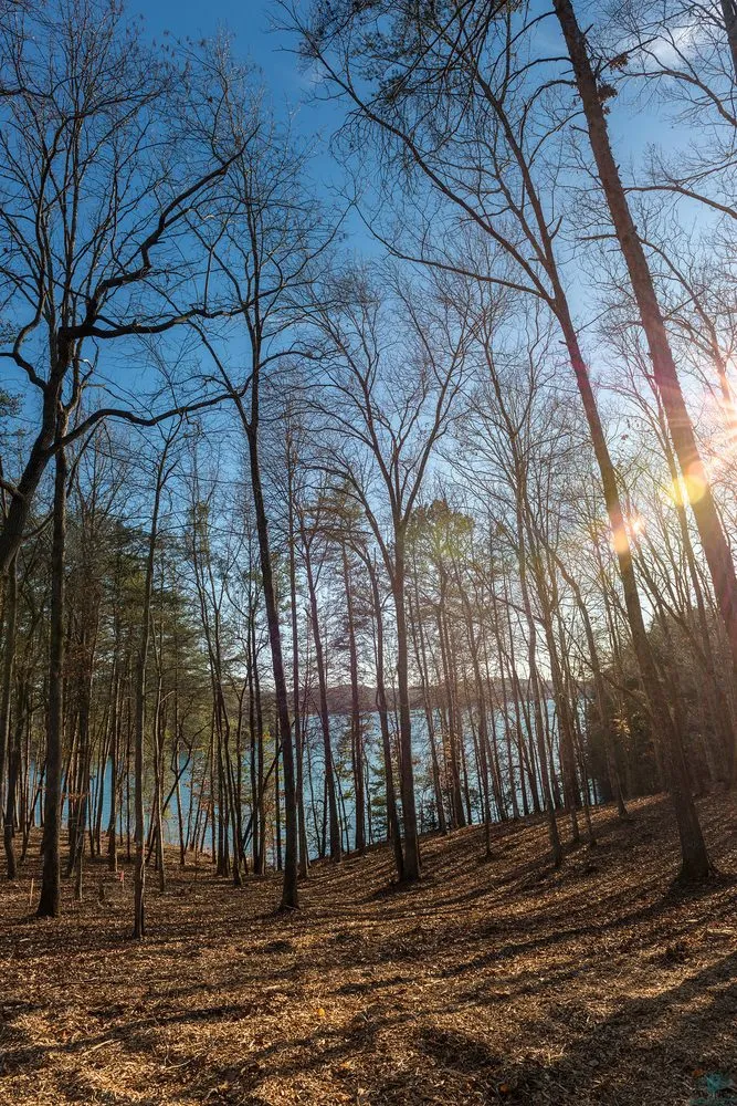 Affordable residential landscaping in Travelers Rest, SC by Red Elm Residential & Landscapes