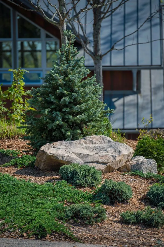 Reliable yard maintenance in Travelers Rest, SC - Red Elm Residential & Landscapes