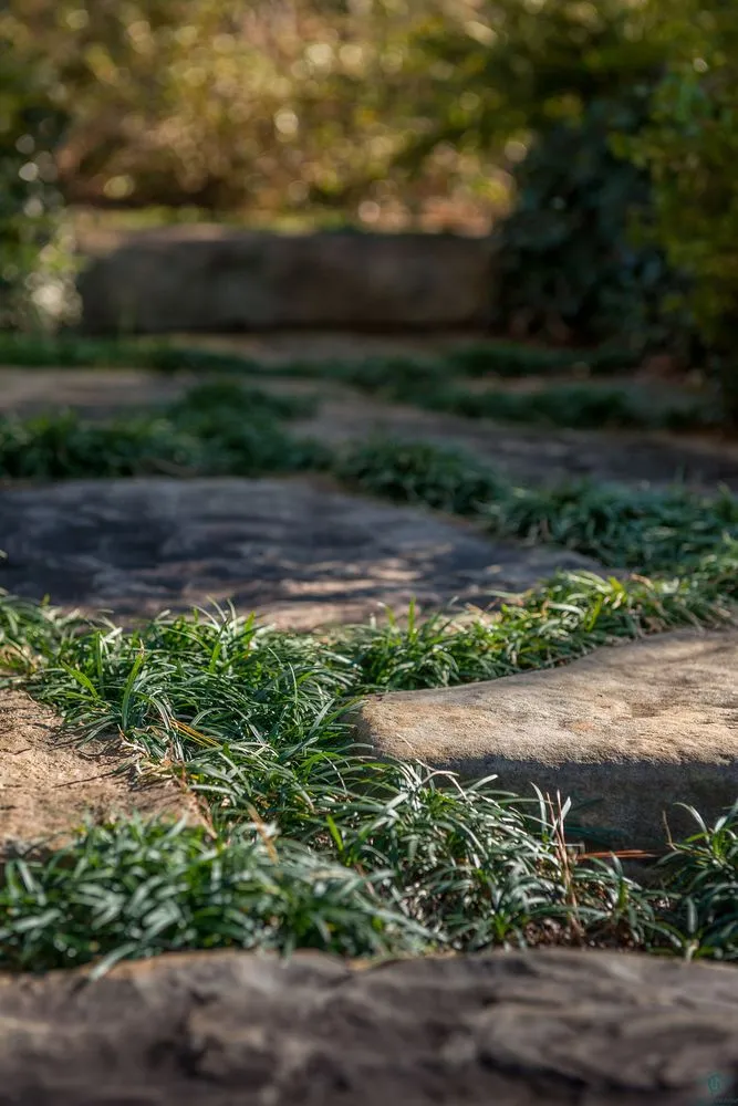 Local landscape installation in Travelers Rest, SC by Red Elm Residential & Landscapes