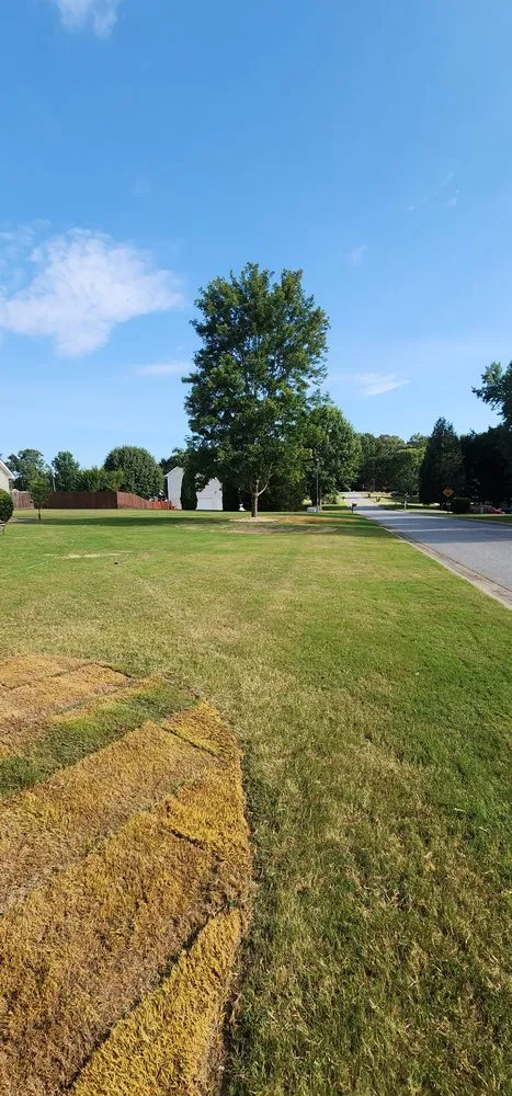 Custom lawn mowing service for homes across Flowery Branch, GA - Red Fox Landscaping