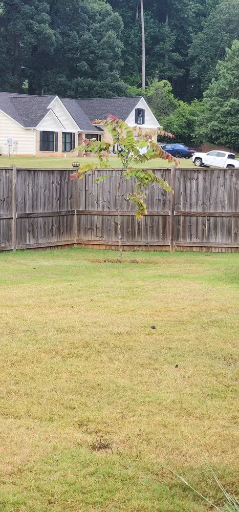 Reliable landscape design experts serving Flowery Branch, GA - Red Fox Landscaping