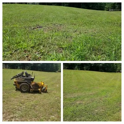Red Hawk Lawncare Logo