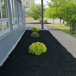 Local landscape installation with custom design across Towson, MD - Red Hill Lawn Care