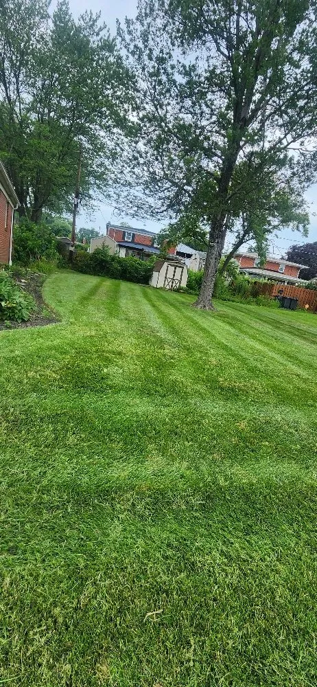 Affordable landscape design for year-round maintenance across Towson, MD - Red Hill Lawn Care