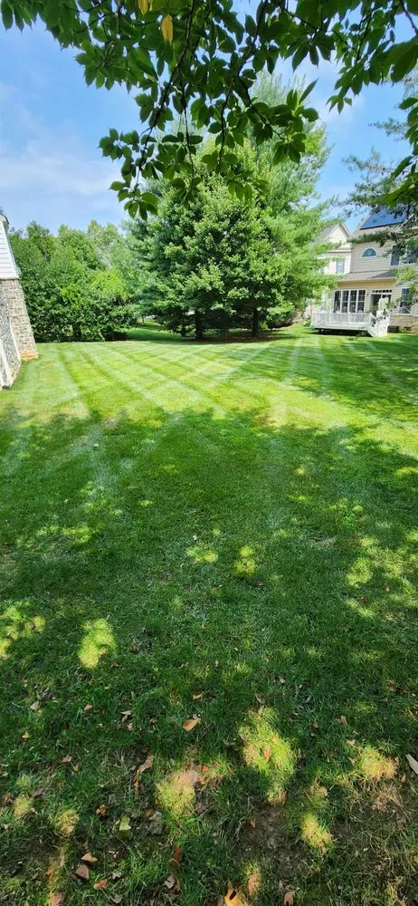 Local yard cleanup service experts serving Towson, MD - Red Hill Lawn Care