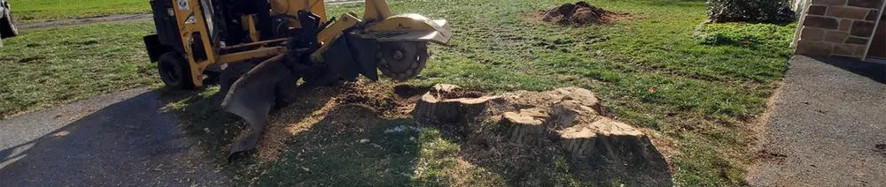 Local outdoor landscaping for homes in Narvon, PA by Red Hill Property Services